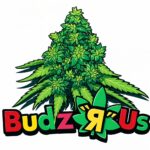 ChatGPT Image Feb 9, 2026, 12 07 28 PM