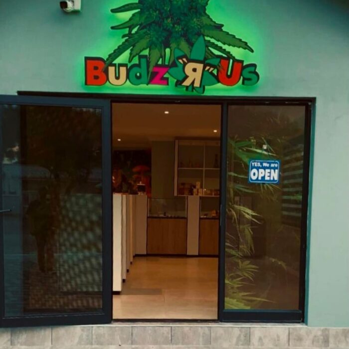 Untitled design (10)