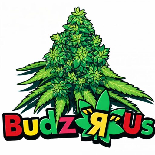 ChatGPT Image Feb 9, 2026, 12 07 28 PM